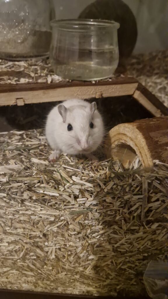 Ben, Nuts et Jerry, photo 2 sur 2