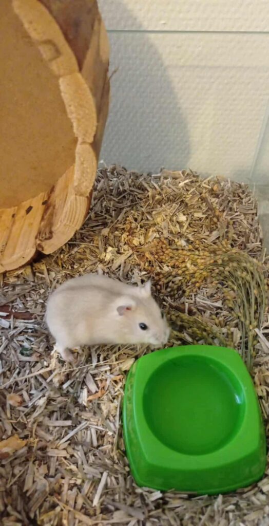 Molly, photo 2 sur 2