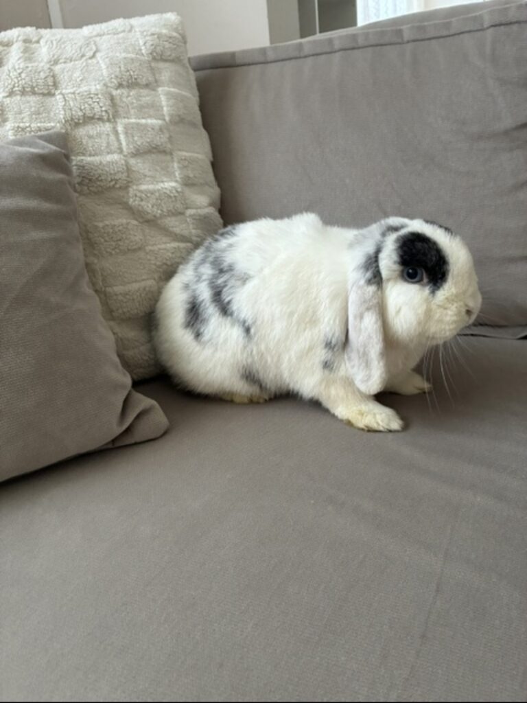 Winnie, photo 1 sur 2